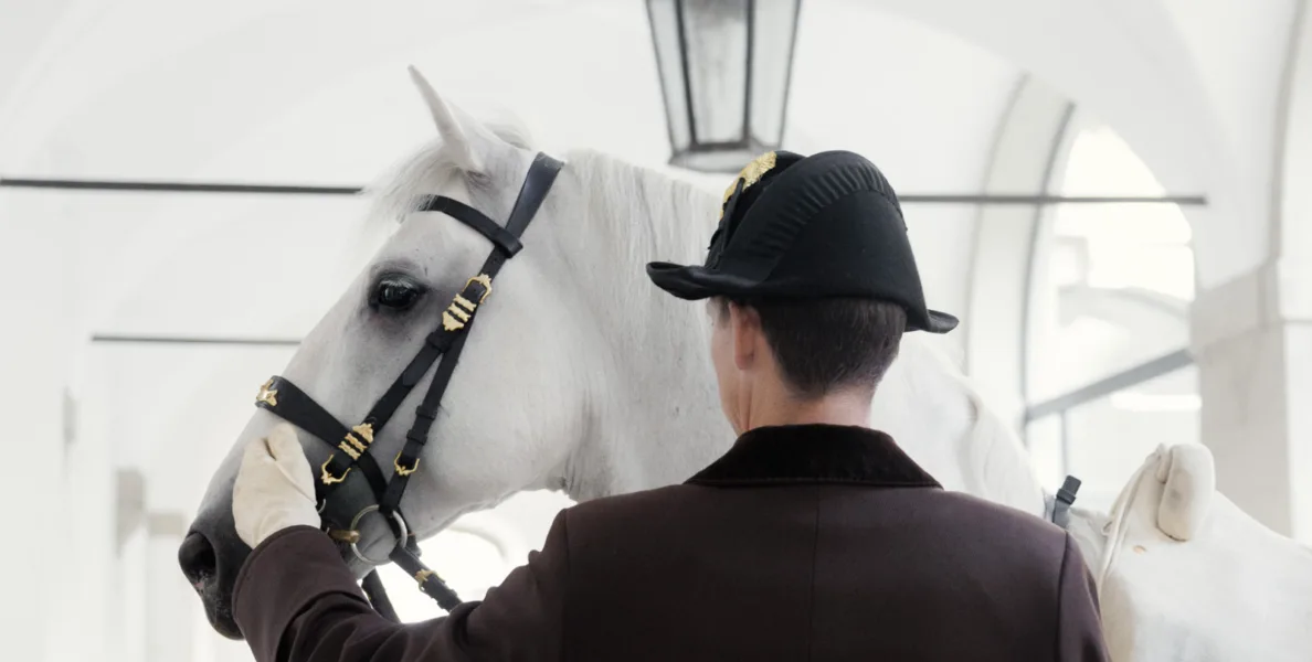 Pferd steht in Flur, Reiter in brauner Uniform hält es